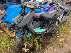 Suzuki Sepia. 49����. ��. ����