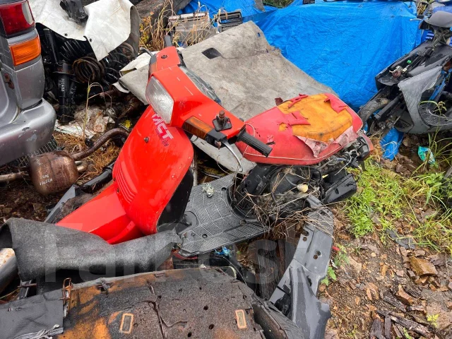 Honda Tact ����