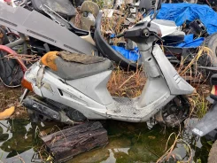 Honda Tact ����