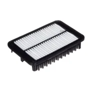 ������ ��������� RAF Filter AF001 RAF-Filter AF001 AF001 ����
