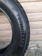 Yokoma. ������, ����������, 2024 ���, �/�, ����� �� 5 % ����