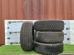 Bridgestone Blizzak DM-V2