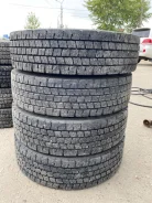 Dunlop Dectes SP062. ������, ��� �����, 2021 ���, �/�, ����� 10 % ����