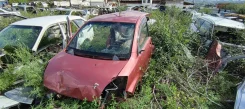 Toyota Passo ����