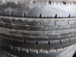 Dunlop Enasave SP LT50. ������, 2019 ���, �/�, ����� 5 % ����