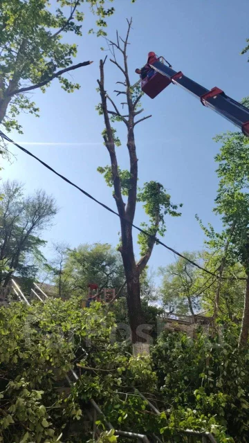 ������ ������, �������� �����, �����, �����, ������, �� 1000 ������ ����
