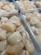 ������� ��������. ����