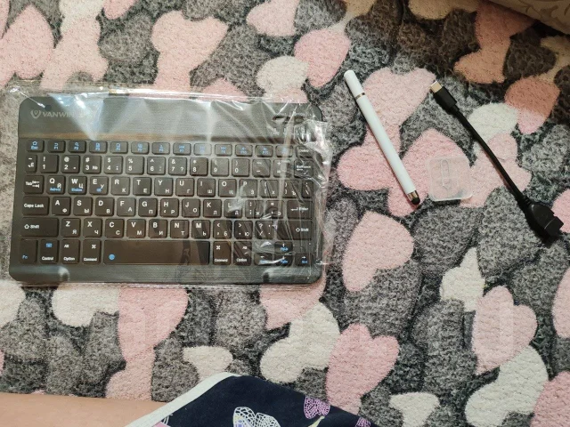 Vanwin. 10.1 ������, ������ 512 �� ����