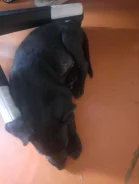 ������. ����