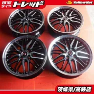 Kyoho Steiner LMX