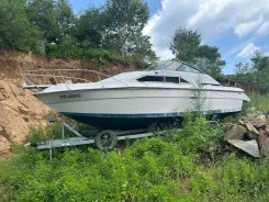 Searay. 1979 ���, ����� 7,7��., ��������� ������������, ������ ����