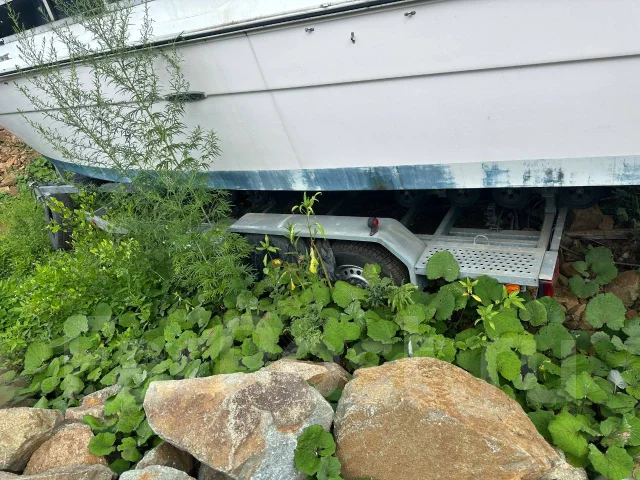 Searay. 1979 ���, ����� 7,7��., ��������� ������������, ������ ����