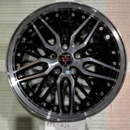 Kyoho Steiner LMX