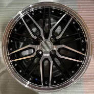 Kyoho Steiner LMX