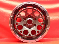 RAYS Team Daytona M9