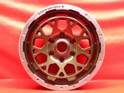 RAYS Team Daytona M9