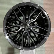 Kyoho Steiner LMX