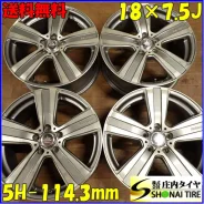 Alcasta M55