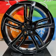 Kyoho Steiner SF-C