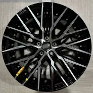 Kyoho Steiner CVX