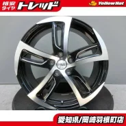 Kyoho Steiner SF-C