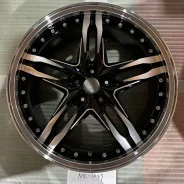 Kyoho Steiner LSV
