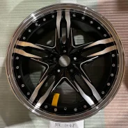 Kyoho Steiner LSV