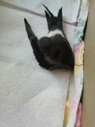�����. ����