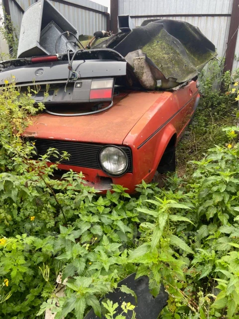 Volkswagen Golf ����