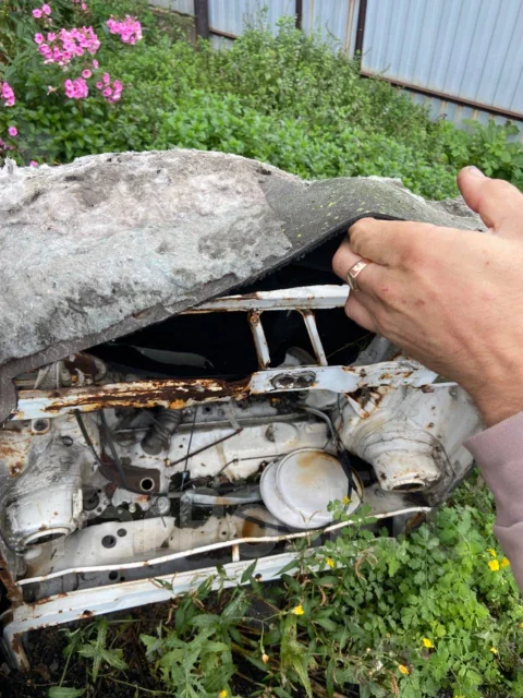 Volkswagen Golf ����