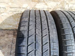 Dunlop Formula W10