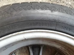 Dunlop Formula W10
