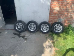 Zinik. x13", 4x98 ����