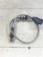 ������ ����������� (������ ����) Volvo 30622252 30622252 ����