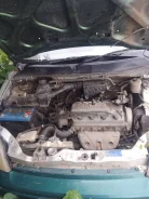 Honda Logo. D13 ����