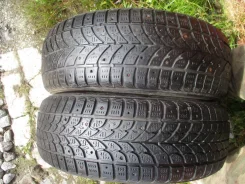Bridgestone Winter Radial WT-17. ������, ����������, �/�, ����� 70 % ����