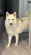 �����. ����