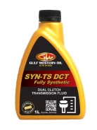 Gulf Western Oil Syn-TS LV