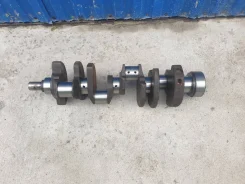���������. ����