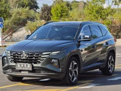 Hyundai Tucson. �������, ��������, 1.5 (150��.�.), ������, 35����. ��, �/�. ��� ����� �� ������������ ����