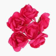 �������� ��������, ����-�������, 2,5-3��, 5 ��������� �� 6 ���� ����