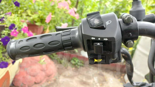 Regulmoto Alpha RM-3. 50����. ��., ��������, ��� ���, ������ �� �� ����