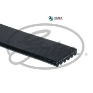 ������ �/� 6PK2218 Gates 6PK2218 6PK2218 ����