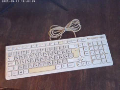����������. ����