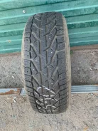 Tigar Ice. ������, ����������, 2021 ���, �/�, ����� 25 % ����