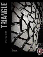 Triangle TR918. �����������, ����� ����