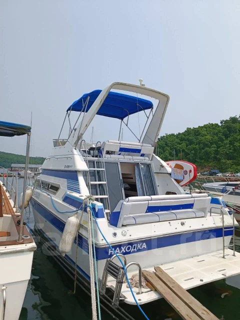 Carver. 1989 ���, ����� 10��., ��������� ������������, 520��.�., ������ ����