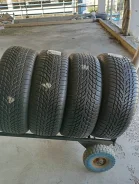 Nokian WR Snowproof