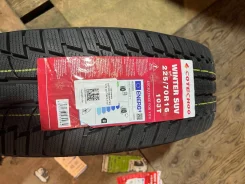 Cotechoo Winter Suv. ������, ��� �����, 2025 ���, ����� ����
