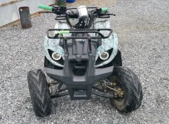 Grizzly. ��������, ��� ���\���, �� ����